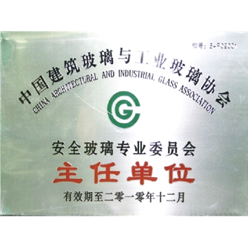 Director unit of China building glass and industrial glass committee